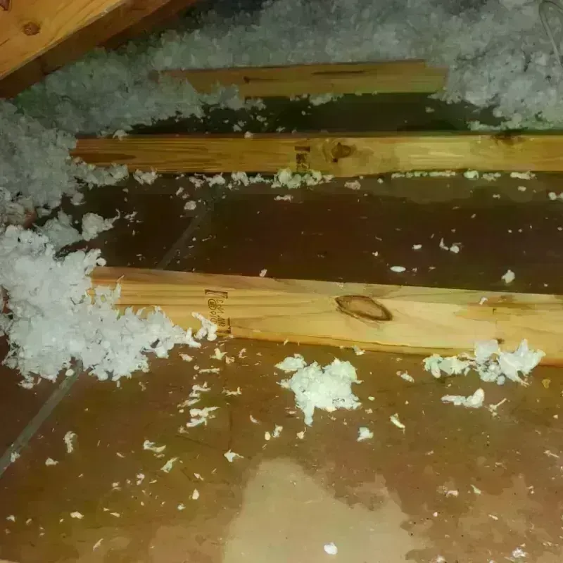 Attic Water Damage in Garden Acres, CA